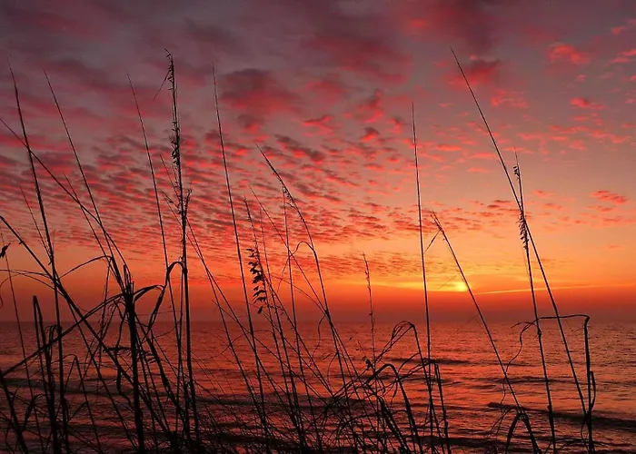 Сasa de vacaciones Barefoot E206 - Liquid Obsession Clearwater Beach